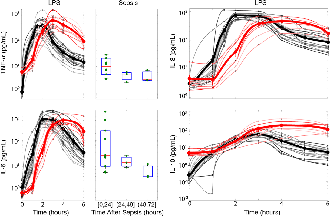 <strong>Figure 2.</strong> Individual data for a bolus injection (thin black shaded lines) [6] and a continuous infusion (thin red shaded lines) of lipopolysaccharide (LPS) [1] in healthy young men. The bold lines represent the mean bolus and continuous infusion data. The boxplots display sepsis clinical data (green dots) from 16 septic patients who were admitted to the intensive care unit [1]. Figure courtesy of the authors.