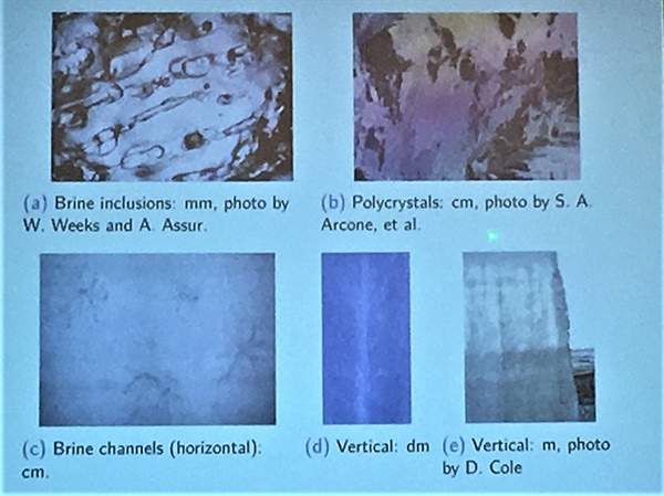 Network Modeling to Study Sea Ice Permeability | SIAM