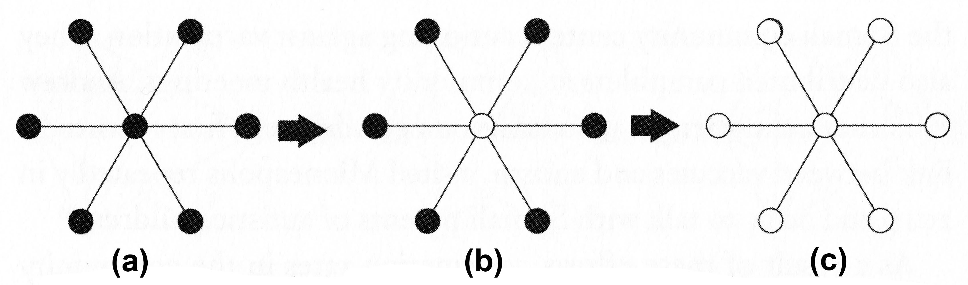 <strong>Figure 2.</strong> The spread of a belief in a star network. Dark nodes represent one action and light nodes represent another action. Image courtesy of Yale University Press.
