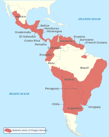 Chagas disease is endemic to Central and South America, with the highest number of cases in rural Latin America. Public domain image.