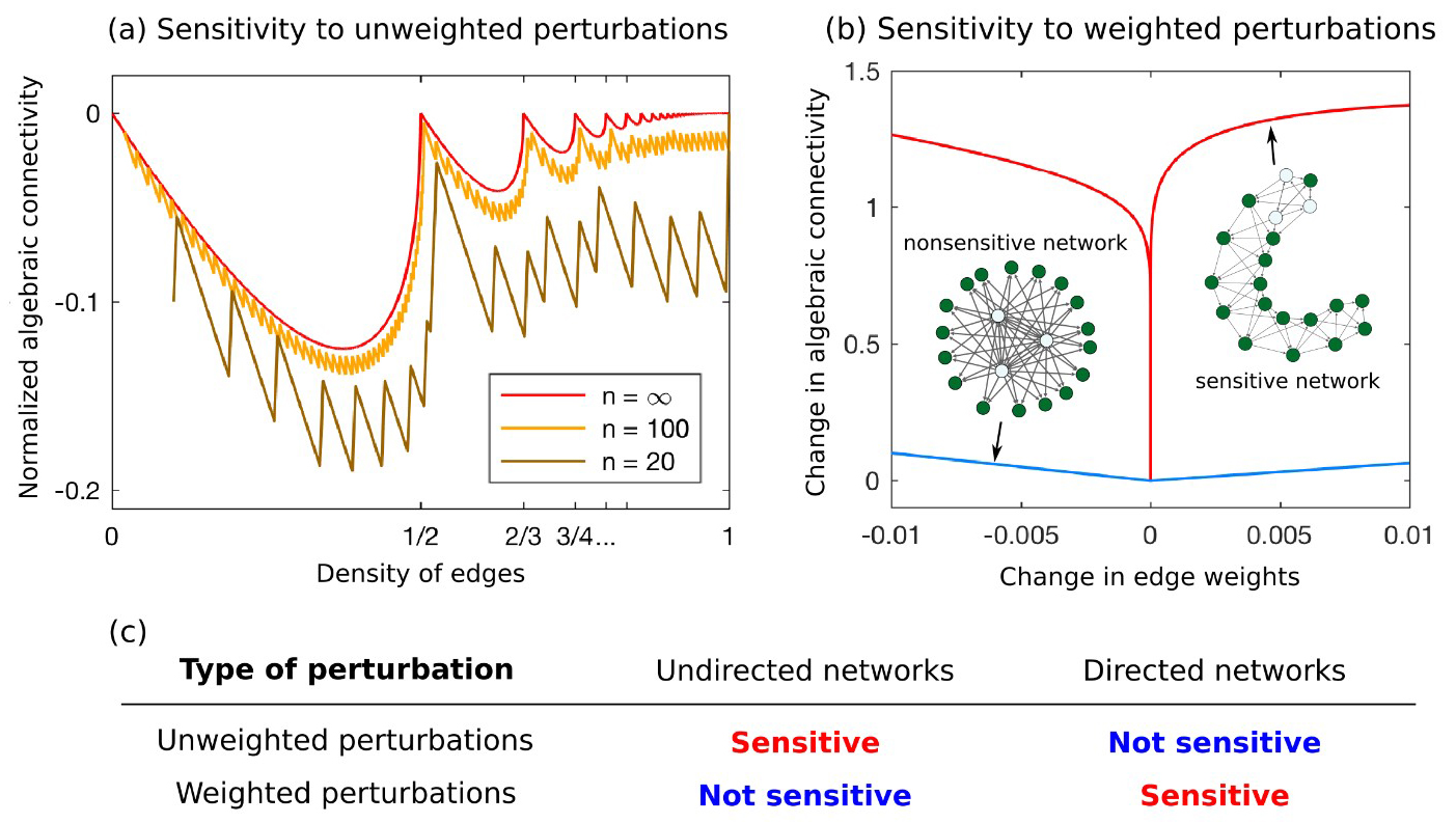 <strong>Figure 2.</strong> Sensitivity of optimal networks. The algebraic connectivity can exhibit cusp-like responses to changes in <strong>(a)</strong> the density of edges (unweighted perturbations) and <strong>(b)</strong> edge weights (weighted perturbations), as summarized in <strong>(c)</strong>. Image credit: Takashi Nishikawa and Adilson Motter.
