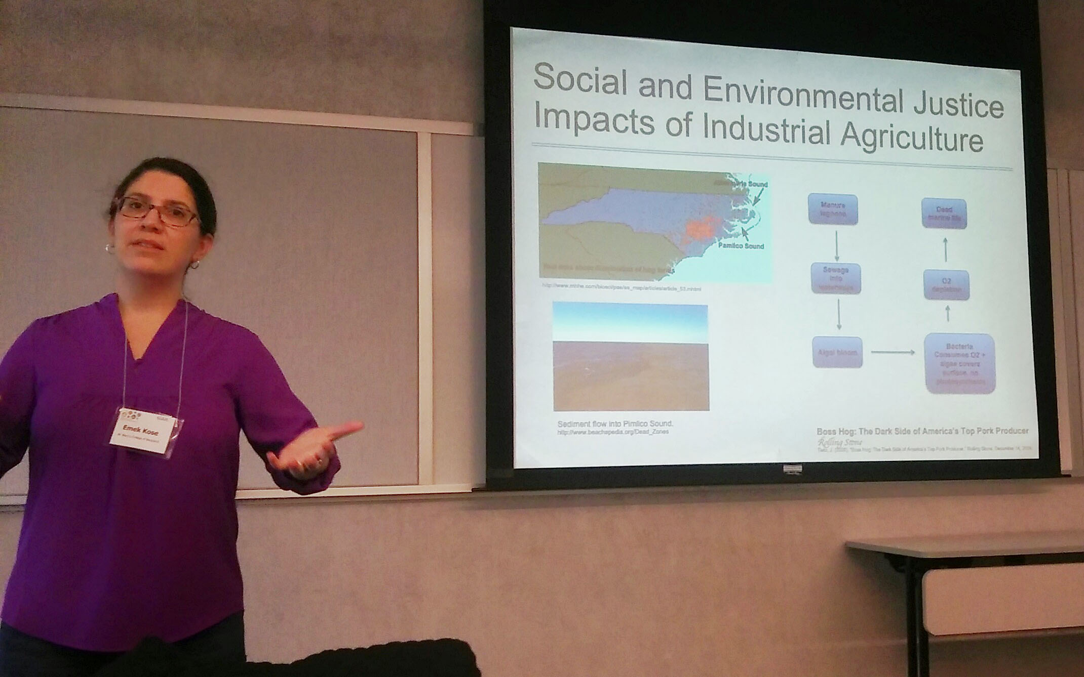 Emek Kose (St. Mary's College of Maryland) details a modeling problem about agricultural runoff that connects climate science and mathematics for her students. Staff photo.