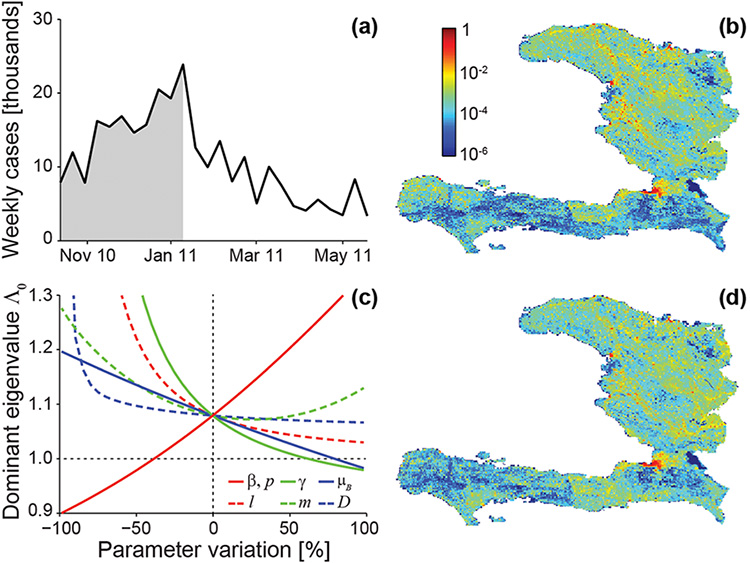 <strong>Figure 2.</strong> Data and model predictions for the Haitian epidemic. (a) Total incidence data (weekly cases) from October 2010 to June 2011. (b) Fine-grained spatial distribution of cumulative recorded cases during the outbreak phase of the epidemic (defined as the period from beginning to peak, shown in gray in panel (a); cholera cases have been normalized). (c) Sensitivity to parameter variations of \(\Lambda_0\), the dominant eigenvalue of the generalized reproduction matrix; the dotted horizontal line indicates the value below which the epidemic cannot start. (d) Fine-grained spatial distribution of cases as predicted by the dominant eigenvector; coefficients of determination for predicted vs. observed cases: \(R^2_O =\) 0.92&amp;nbsp;(outbreak phase), \(R^2_T =\) 0.95&amp;nbsp;(whole period). Parameter values are as in [5]; modified from [4].
