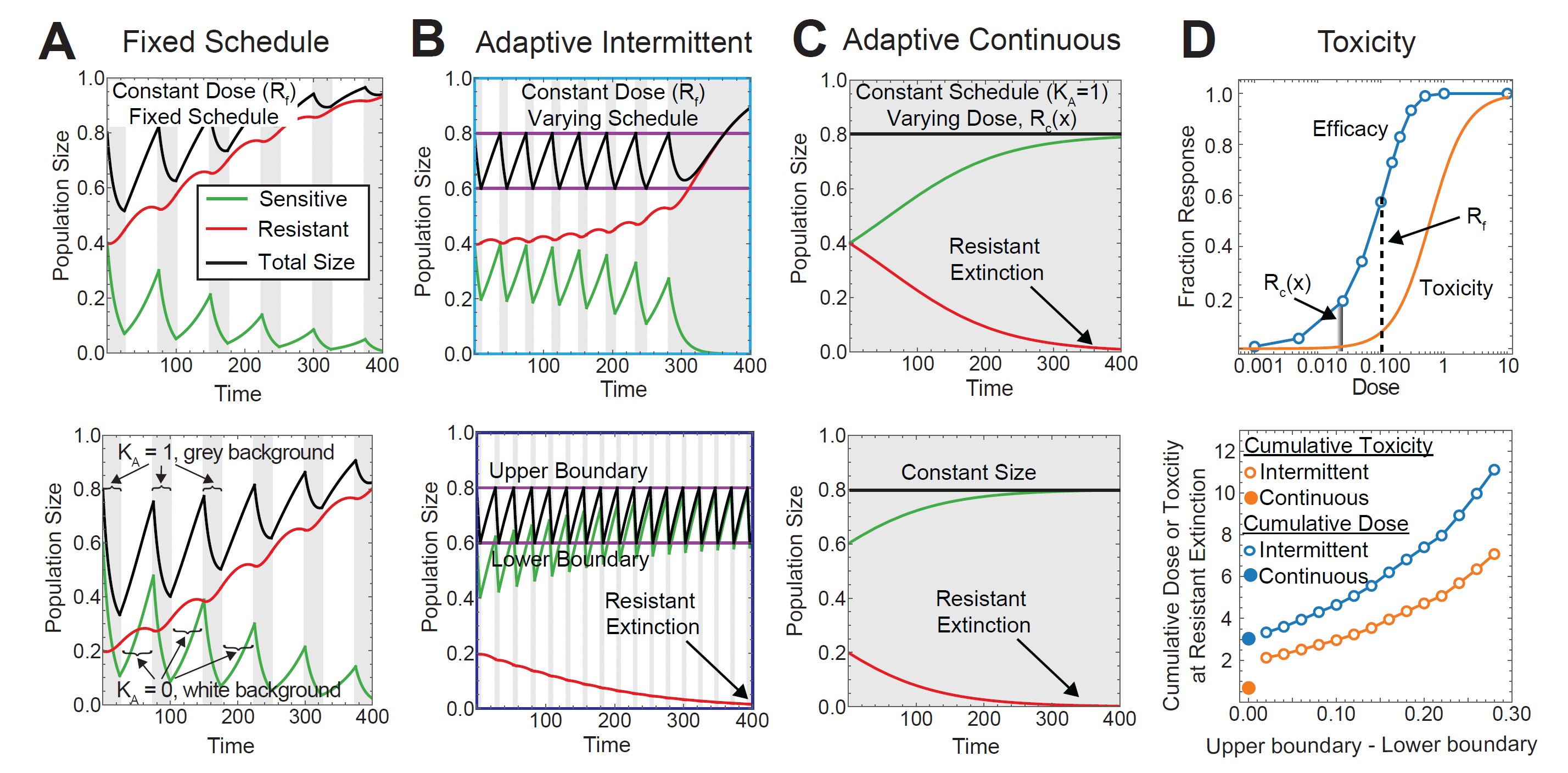 <strong>Figure 2.</strong> Simulations with competing cell populations based on the dynamics in \((5)\) and \((6).\) <strong>2a.</strong> \(K_{A}(t)\) follows a predefined treatment schedule with fixed dose \(h(x,{r_d}) = -R_fx.\) The resistant population predominates at the end of therapy for both sets of initial conditions. <strong>2b.</strong> Adaptive intermittent therapy where \(K_{A}(t)\) takes values of \(0\) or \(1\) with \(h(x,{r_d}) = -R_fx.\) When the total tumor size hits the upper boundary, \(K_A(t)= 1\); when the tumor size decreases to the lower boundary, \(K_A(t) = 0.\) Outcome at the end of therapy depends on initial conditions, and the resistant population is considered extinct when the population level drops below a predefined threshold. <strong>2c.</strong> Adaptive continuous therapy where \(K_A(t)= 1\) and the dose is varied as \({{\hat{R}}_c}(x)\) to keep total tumor size constant throughout therapy. Both sets of initial conditions for the same conditions in 2a and 2b result in a resistant cell population extinction at the end of therapy. <strong>2d.</strong> The upper panel depicts dose response (in blue) and dose toxicity (in orange). Dose response is calculated as the proportion of sensitive cells that are lost at \(t = 10\) after continuous application of a given dose, and a Hill equation models toxicity. The lower panel illustrates the cumulative toxicity and cumulative dose during intermittent adaptive therapy (open circles) and continuous adaptive therapy (closed circles). Figure courtesy of the author. 