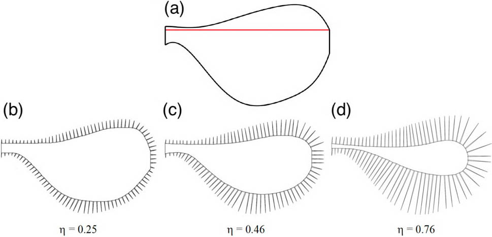 <strong>Figure 2.</strong> The wing geometries that we modeled in our study. <strong>2a.</strong> The reference wing structure for this study, with the pitching axis denoted by the red line. <strong>2b–2d.</strong> Three bristled wings (\(\eta\) denotes the fraction of the wing planform area that is bristled). Figure courtesy of Hrithik Aghav.