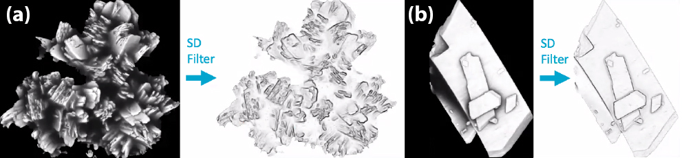 <strong>Figure 3.</strong> The results of applying a local standard deviation filter to the scanning electron microscope images from Figure 1. The darker areas have higher standard deviations, which generally occur at peaks and edges. <strong>3a.</strong> The rough particle. <strong>3b.</strong> The flat particle. Figure courtesy of Adah Zhang.