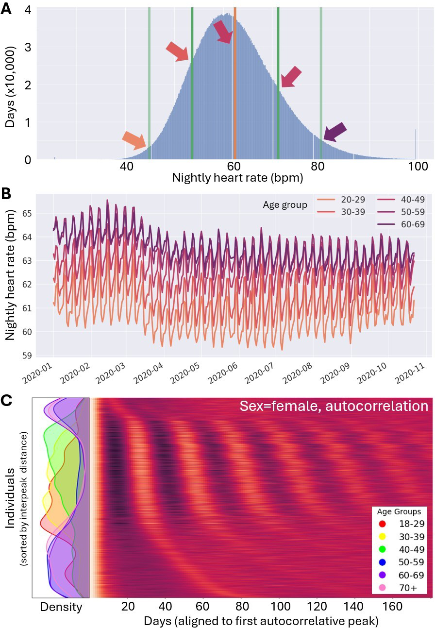 <strong>Figure 1.</strong> Biases in healthcare-related artificial intelligence applications arise from inappropriate assumptions of uniform distributions. <strong>1a.</strong> Five million nights of heart rate data give the illusion of a Gaussian distribution, when different age groups actually disproportionately represent different parts of the distribution (arrow colors match the age groups in 1b). <strong>1b.</strong> The same five million nights as time series per decade of life illustrate average social effects (e.g., COVID-19 shutdown in March 2020 and spikes on weekends) that provide explainable variance within these distributions. <strong>1c.</strong> Autocorrelation amongst individuals also reveals explainable variability within the traditional “female” demographic category. Density estimates by decade of life (left) reveal interactions between age, sex, and cyclicity that support construction of physiotypes within the demographic category, improving algorithmic fit. Figure courtesy of the Smarr Lab at the University of California, San Diego.