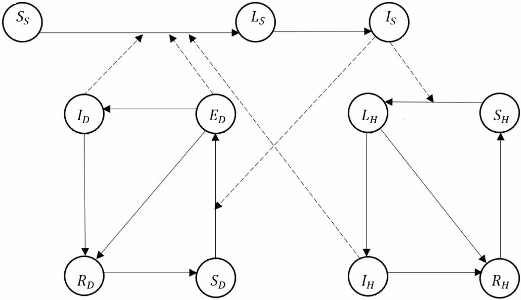 <strong>Figure 2.</strong> General model of the three populations involved in the spread of visceral leishmaniasis (VL): dogs, sandflies, and humans. The solid lines indicate full compartments within the same population.