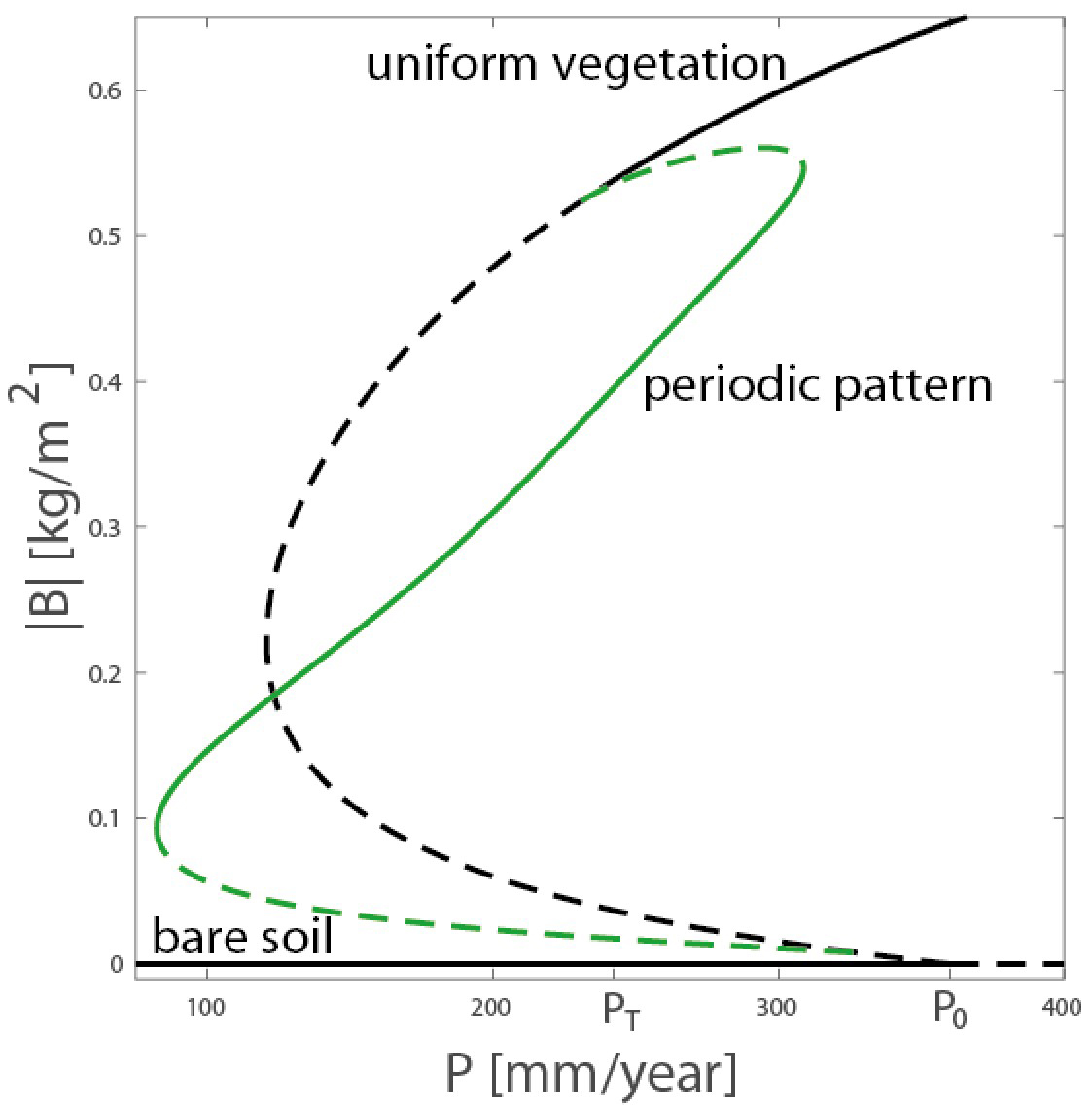 &lt;strong&gt;Figure 3.&lt;/strong&gt; A partial bifurcation diagram obtained by numerical continuation of model solutions in one space dimension [14]. The vertical axis is the spatial biomass average, and the horizontal axis represents precipitation rate. Solid lines represent stable solutions, and dashed lines represent unstable solutions. Periodic pattern solutions (green line), of which only one is shown, extend to lower precipitation ranges in comparison to the uniform vegetation solution. Under conditions of high evaporation rates in bare soil, the bare soil state may remain stable at high precipitation values, thus forming a bistability range with uniform vegetation.