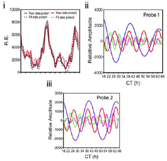 Figure i represents RNA as detected by microarray via two probes. This raw data suggest oscillations. When the eigenvalue pencil is applied, each probe can be separated and the oscillations become clear. Data courtesy of [3].