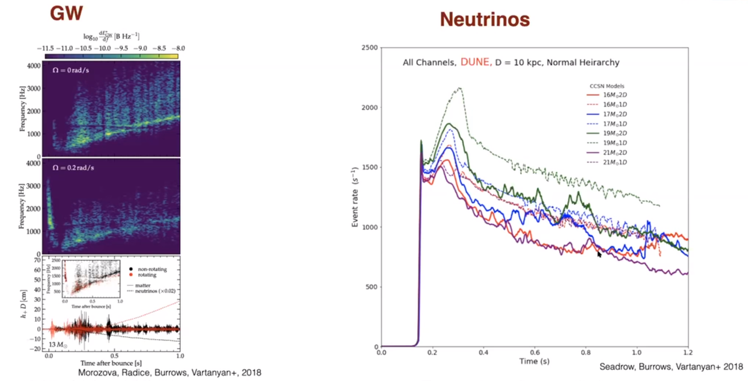 <strong>Figure 1.</strong> Template observational signatures for gravitational waves (GW) and neutrinos from core-collapse supernovae. Vartanyan and his collaborators modeled the gravitational wage signatures to be detectable within the advanced Laser Interferometer Gravitational-Wave Observatory’s bandpass and threshold limits, and the neutrino event rates represent those expected to be measured by the Deep Underground Neutrino Experiment.