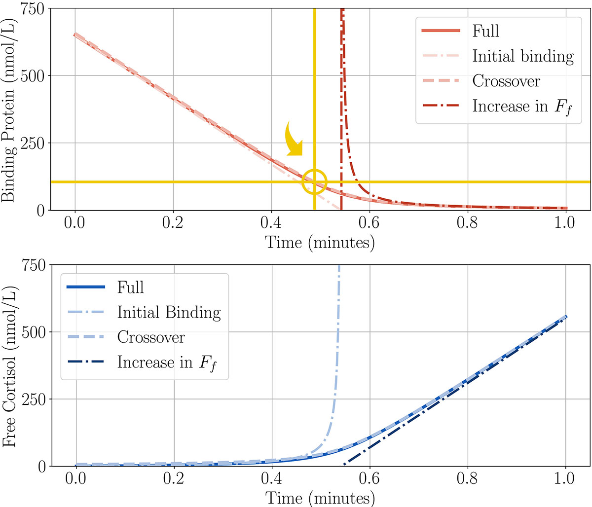 <strong>Figure 5.</strong> Comparison of the full and simplified systems during the dosing period. Figure courtesy of Rosie Evans.