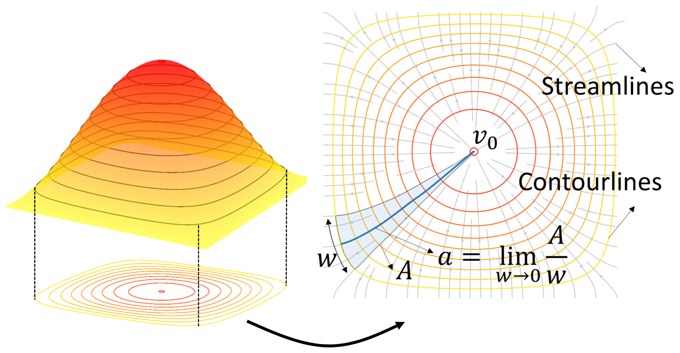 <strong>Figure 2.</strong> Schematic definition of the specific drainage area \(a\). Here, \(A\) is the area confined between two streamlines and a contourline with length \(w\). \(a\) is the ratio of \(A\) to \(w\) as \(w\) approaches zero.