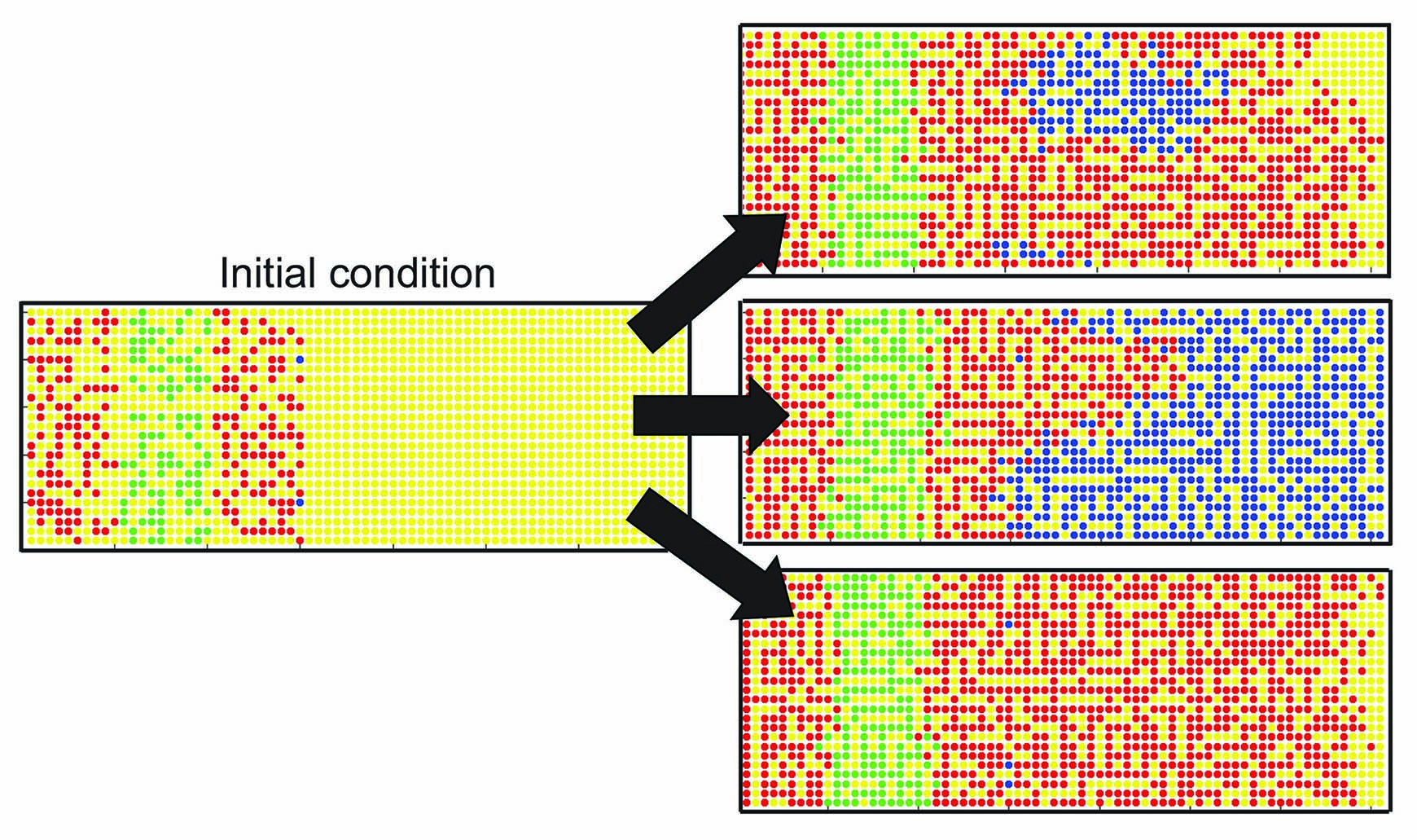 <strong>Figure 1.</strong>  Clonal inequality  as evidenced in three realizations  (horizontal boundaries
have periodic boundary conditions to  emulate a cylindrical shell).  Agents are labeled with different colors, and color is inherited by  progeny. Top: moderate-size  blue clone.
Middle:  a single  blue  agent   has  the  large  clone,   responsible  for  invasion   wave. 
Bottom: insignificant clone sizes. Image credit: B.J. Binder.