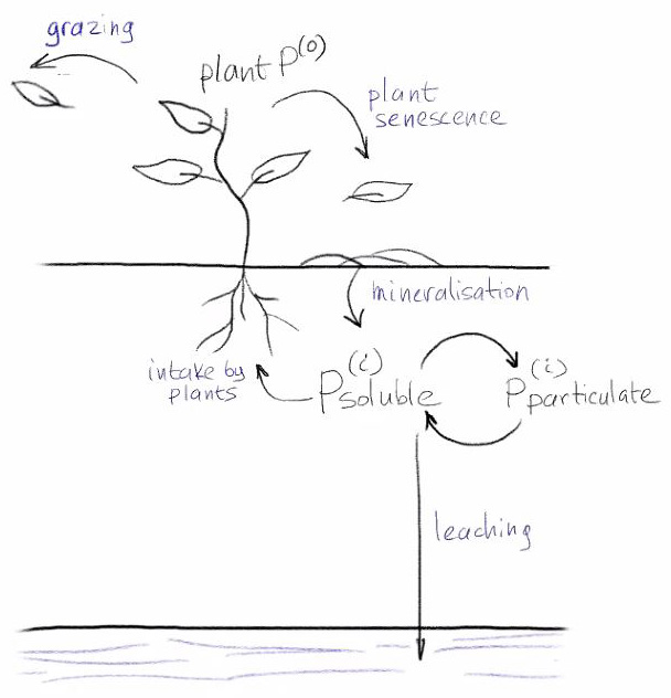 <strong>Figure 2.</strong> The phosphorous recycling system.