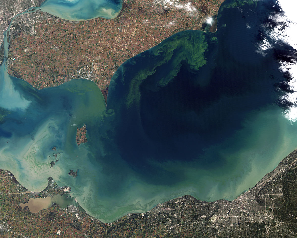<strong>Figure 1.</strong> A satellite photo of Lake Erie in North America (taken in October 2011) shows toxic algae in green. The spread pattern is due primarily to phosphorus runoff from agriculture. Public domain image.
