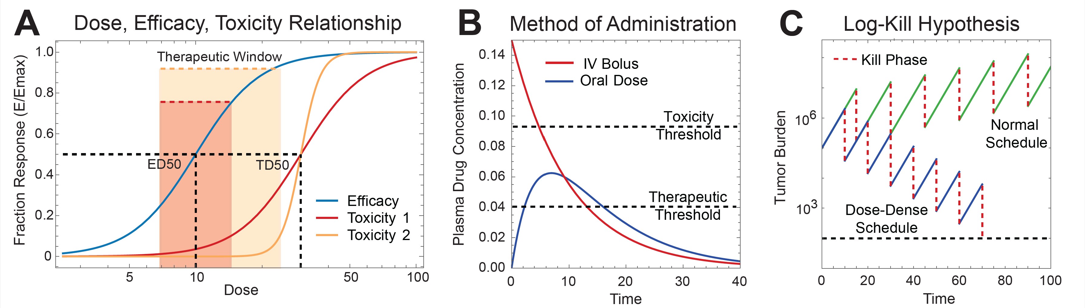 <strong>Figure 1.</strong>Pharmacodynamics and pharmacokinetics for example therapeutics. <strong>1a.</strong> Simulated dose response curves. Here, efficacy is in blue and two toxicity curves are in orange and red, with differing Hill coefficients (as in \((1)\)). Despite identical therapeutic indices, the therapeutic window for Toxicity 2 \((n = 10)\) is higher than for Toxicity 1 \((n = 3).\) <strong>1b.</strong> Simulated plasma concentrations for a single intravenous (IV) dose (in red) versus oral dose (in blue) of a drug. The time above the therapeutic threshold is similar for both doses, despite differing pharmacokinetics. <strong>1c.</strong> Log-kill simulation with exponential growth for two different treatment schedules with identical growth rates and treatment efficacies. Figure courtesy of the author. 