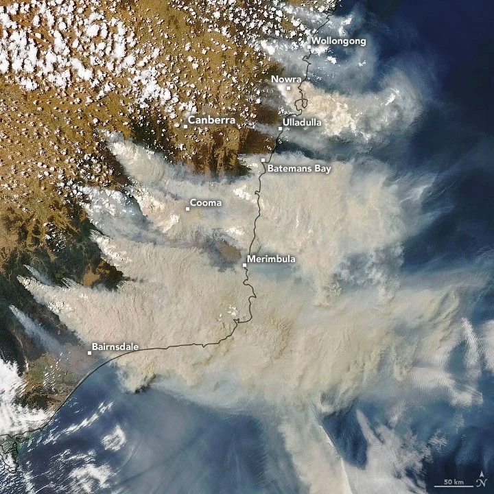<strong>Figure 1.</strong> Satellite image of the Australian wildfires in January 2020. While each fire was geographically small, the smoke they produced spread out into a much wider region, which created unexpected one-directional smoke-swirling behavior. Image courtesy of Joshua Stevens/National Aeronautics and Space Administration Earth Observatory.