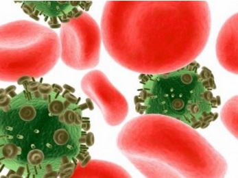 3d rendered illustration of blood cells and viruses. Photo Credit: Eraxion/ Masterfile.
