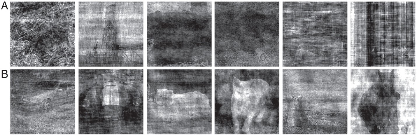 <strong>Figure 2.</strong> Sample images from our image classification dataset, which we call ImageNet-16H. <strong>2a.</strong> Examples of images that machine classifiers are able to correctly classify with high confidence, but that are difficult for humans to classify. Correct answers, left to right: bird, boat, bear, bear, oven, and oven. <strong>2b.</strong> Examples of images that are relatively easy for humans but difficult for machine classifiers to classify. Correct answers, left to right: car, car, cat, cat, bear, bear. Figure courtesy of Mark Steyvers [3].