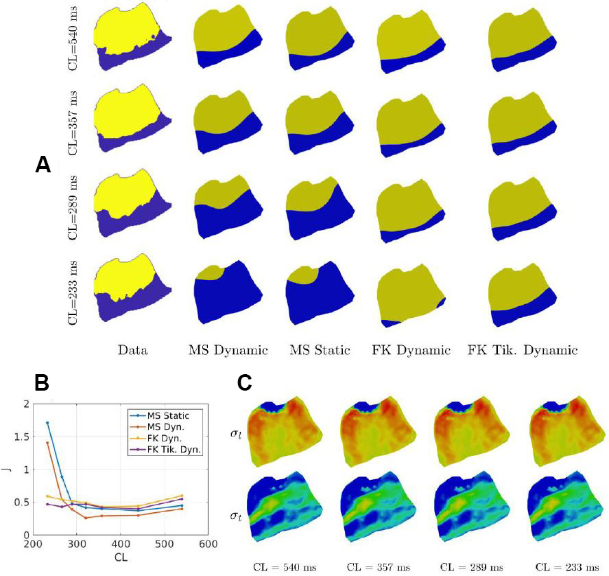 <strong>Figure 3.</strong> Inverse problem solution of heterogeneous cardiac conductivities. <strong>3a.</strong> Comparison between experimental and modeled action potential spatial maps for different pacing cycle lengths (CLs). Four different numerical settings are listed. <strong>3b.</strong> Value of misfit \(J\) for the four numerical settings. <strong>3c.</strong> Estimated conductivity fields (longitudinal \(\sigma_l\) and transversal \(\sigma_t\)) for the different CLs in the case of Tikhonov regularization. Figure adapted from [2].