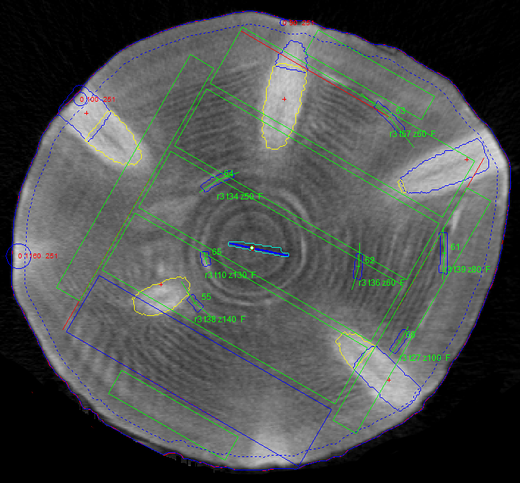 <strong>Figure 3.</strong> Reconstructed cross-section of a log showing identified defects and a virtual cut. © Microtec.