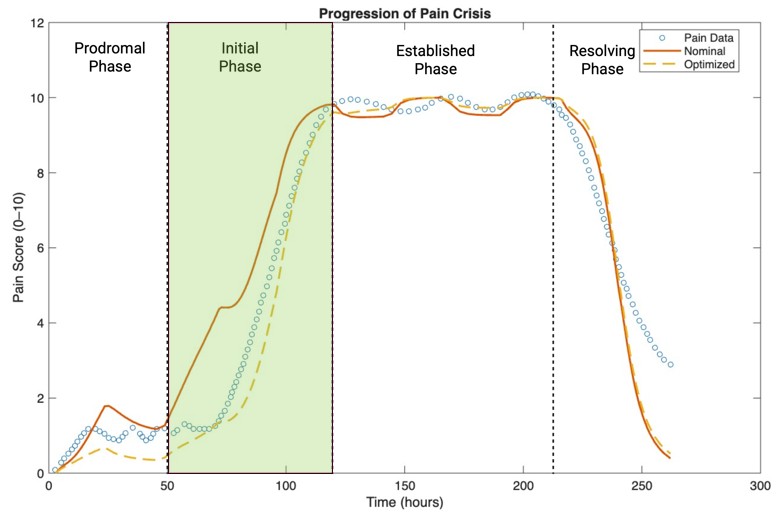 <strong>Figure 3.</strong> The alternating sleep profile created the pain trajectory that most closely matched the canonical VOC pain curve (shown as the blue dotted line) that the model was fitted to; this was digitized pain data from [1]. The red curve shows the model curve generated before optimization (nominal model), and the yellow curve represents the model results after optimization. Both models, nominal and optimized, were able to generate pain curves close to the canonical VOC pain curve, with the optimized model better capturing the sharp increase in pain that occurs during the initial phase. Figure courtesy of Milan Marsh.