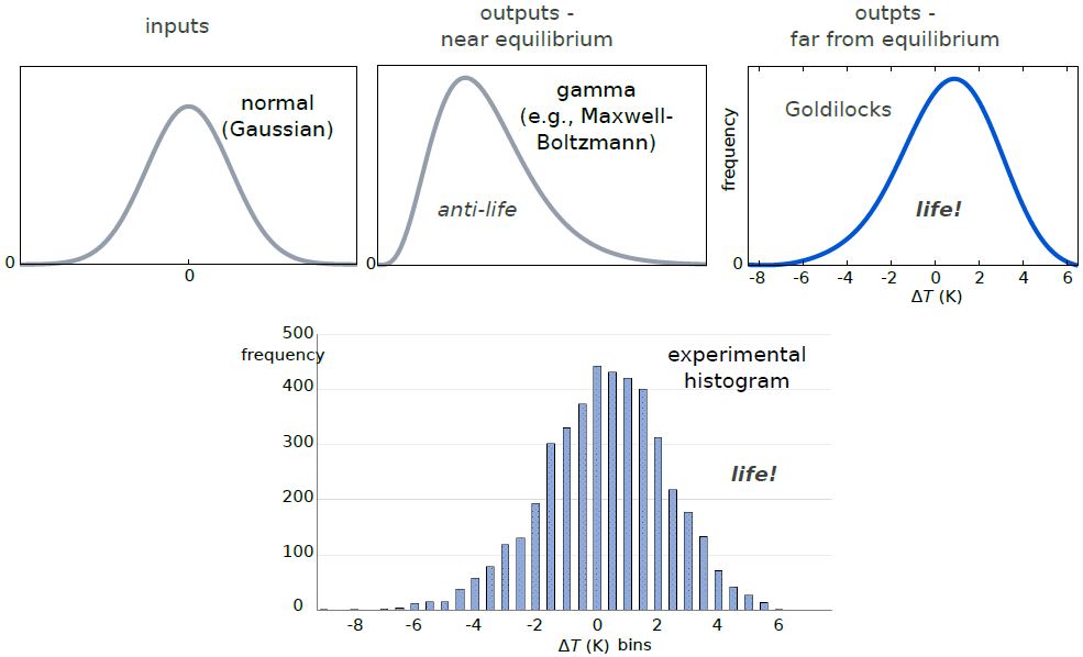 <strong>Figure 3.</strong> The contrast between gamma and “Goldilocks” output distributions is striking. “Goldilocks” is obtained as the Bezier-smoothed envelope of the output temperature fluctuation histogram (bottom figure).