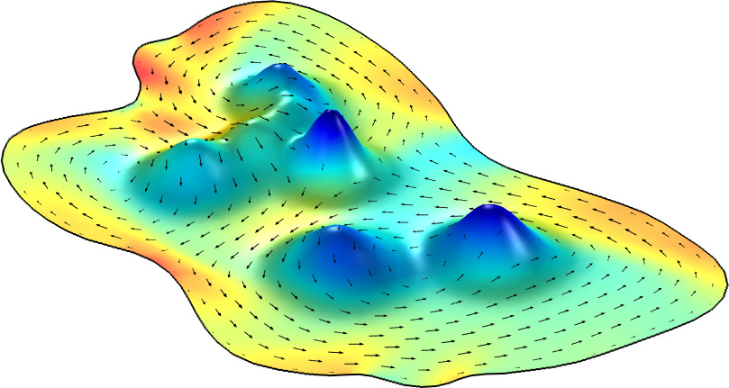 <strong> Figure 2.</strong>  A surface that was generated via the finite element method to provide topography for a simulated wildebeest herd. The small black arrows indicate the vector field of the wildebeest, illustrating their movement over and around obstacles. Figure courtesy of Christina Hueschen.