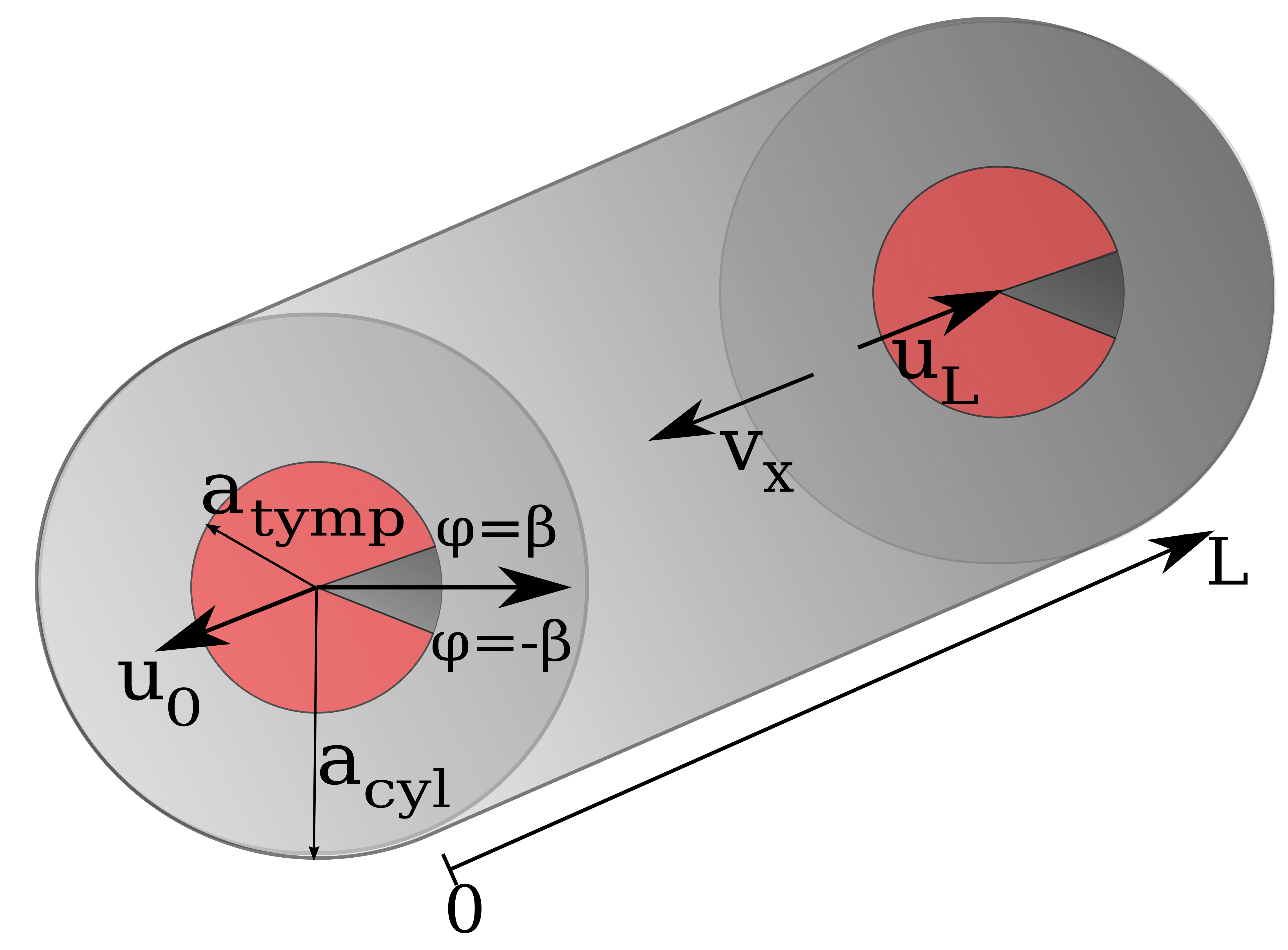 <strong>Figure 2.</strong> Effective cylinder representing the interaural cavity. The eardrums are disks with a smaller radius <em>a</em><sub>tymp</sub>than <em>a</em><sub>cyl</sub> of the cylinder. Grey shaded surfaces are fixed. Image credit: [7].