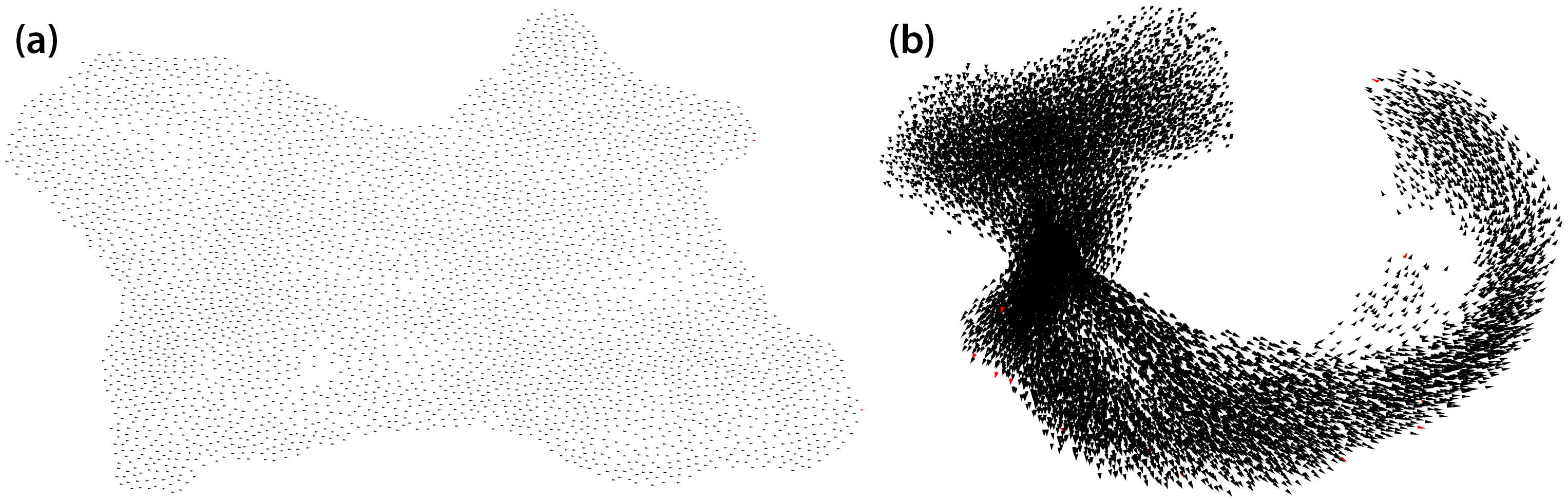 <strong>Figure 2.</strong> Two examples of flocking behavior in our simulation. <strong>2a.</strong> A simulated flock of 4,096 birds moving in two-dimensional space. <strong>2b.</strong> A simulated flock of 16,384 birds that are turning to reach a target in three-dimensional space. Figure courtesy of Max Comstock.