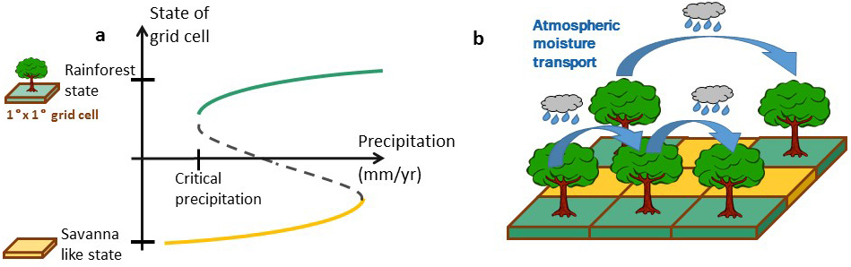 <strong>Figure 1.</strong> Conceptual representation of the Amazon rainforest as a set of interacting tipping elements. <strong>1a.</strong> Bifurcation plot of an Amazon rainforest grid cell, depicted here as \(1^\circ \times 1^\circ\) cells. If precipitation falls below a critical level within a certain grid cell, the rainforest state cannot be sustained in this cell and a nonlinear transformation towards an alternative savanna-like state occurs. <strong>1b.</strong> Interdependency of several forest grid cells due to atmospheric moisture recycling. This mechanism creates a network of interacting “tipping elements” (see equation (2)). Figure courtesy of Nico Wunderling.