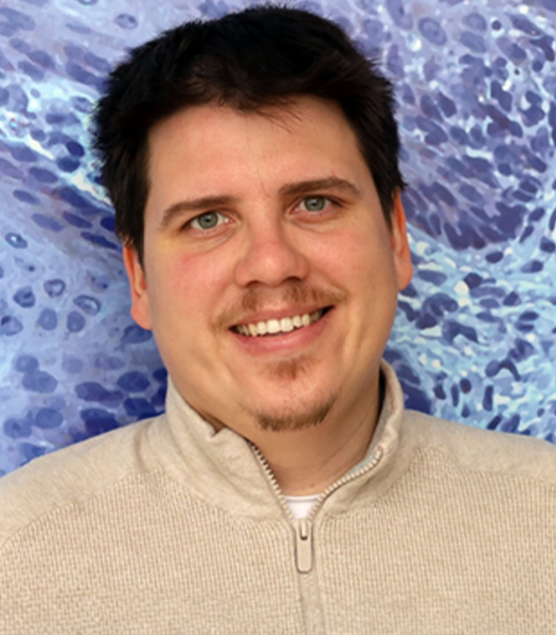 <strong>Mentor:</strong> David Guinovart