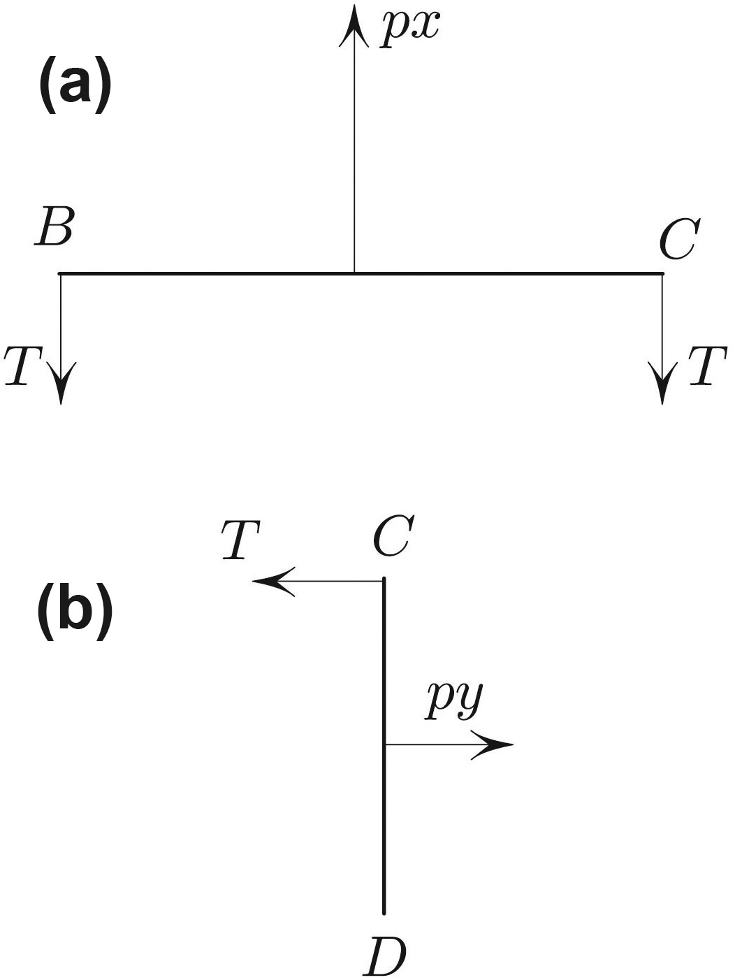 <strong>Figure 2.</strong> Force balance on the top side (2a) and on the right side (2b). The band is slippery; its tension \(T\) is therefore the same throughout. Horizontal force at \(D\) vanishes because the slider is frictionless.