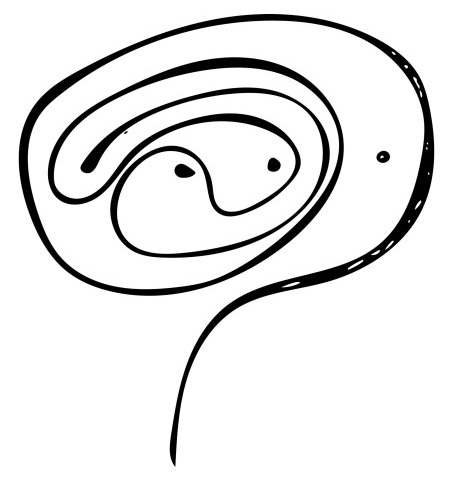 <strong>Figure 8. </strong>
