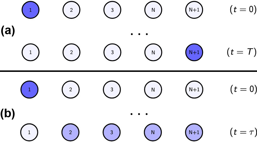 <strong>Figure 1.</strong> Possible states of a quantum chain. <strong>1a.</strong> Perfect state transfer. <strong>1b.</strong> Early state exclusion. Figure courtesy of the author.