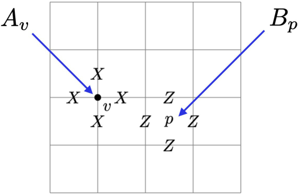 <strong>Figure 1.</strong> Two types of check operators in the toric code. The \(A_v\) operator acts through the Pauli \(X\) operator on each edge adjacent to \(v\), and the \(B_p\) operator acts through the Pauli \(Z\) operator on each edge on the boundary of \(p\). Figure courtesy of the author.