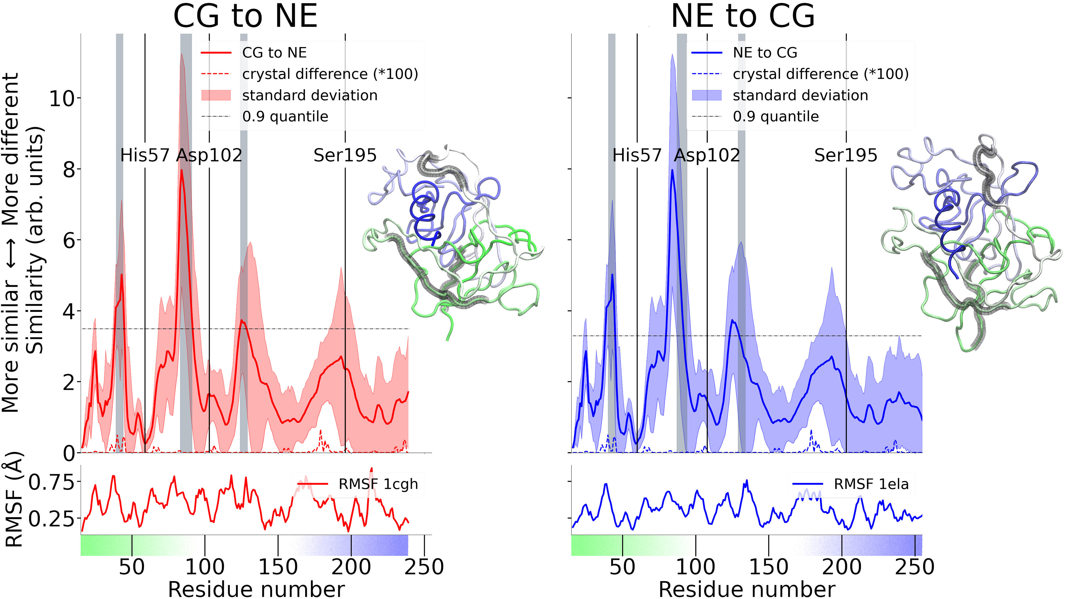 &lt;strong&gt;Figure 4.&lt;/strong&gt; Because residues are not matched one-to-one, the difference between neutrophil elastase (NE) and cathepsin G (CG) is not symmetric and both directions must be considered. Both structures show little overall movement, as indicated by the root mean square fluctuation. The greatest differences occur in regions that are more versatile. Interestingly, the third residue of the active triad—Ser195—seems less conserved in its location than the other two active residues. This observation could explain the different functions of the two proteins. Figure courtesy of [6].