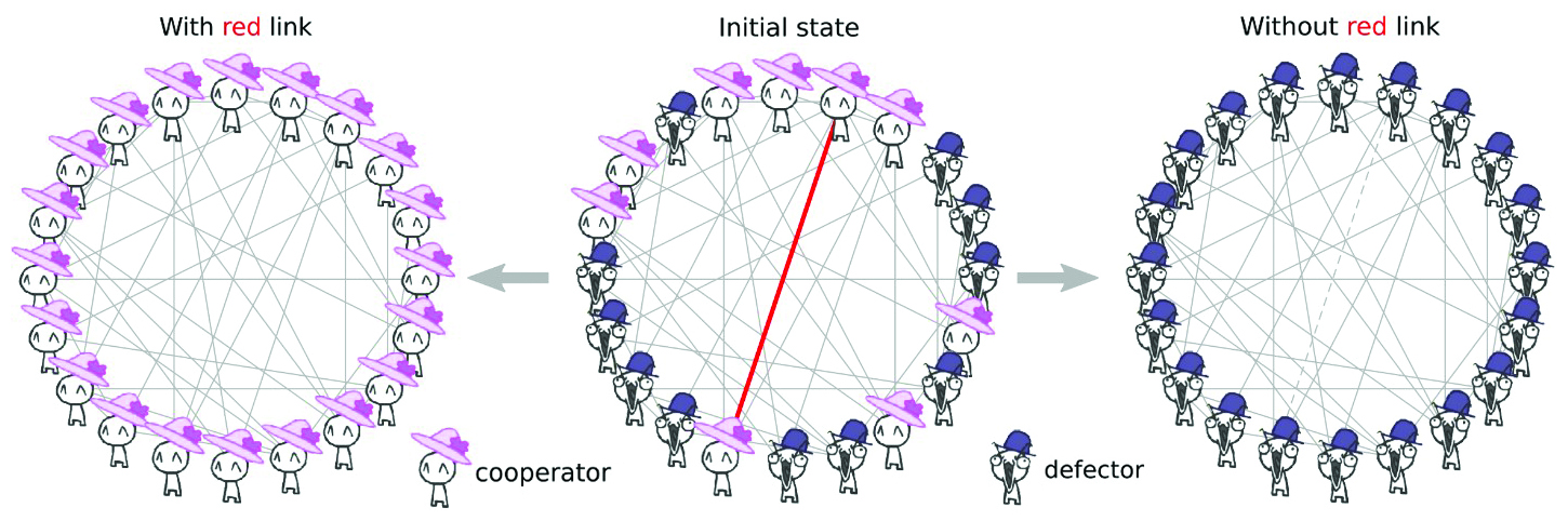 <strong>Figure 1.</strong> Final state of two realizations of the iterated prisoner’s dilemma game for the same initial condition and the network differing by a single edge. Visuals adapted from Nicky Case’s “The Evolution of Trust” game.