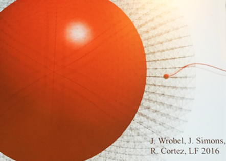 Modeling fluid mechanics of sperm and ovum. Image credit: Lisa Fauci, AN16 presentation.