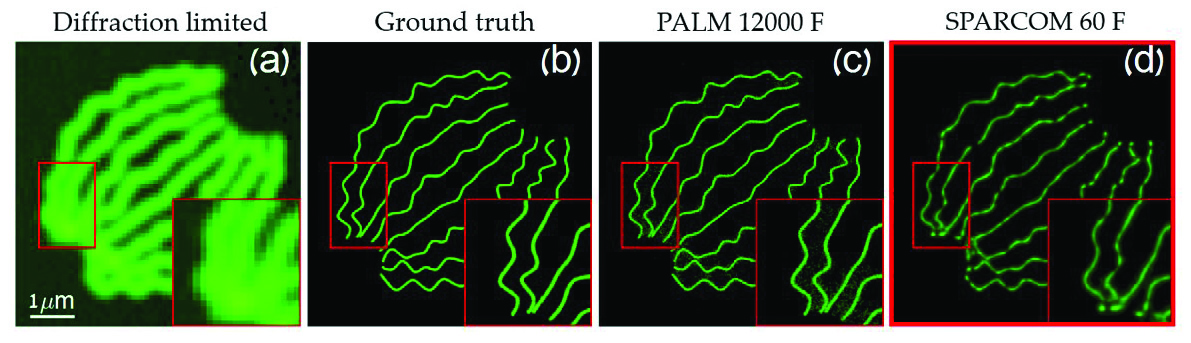 &lt;strong&gt;Figure 4.&lt;/strong&gt; Super-resolution in optical microscopy. &lt;strong&gt;4a.&lt;/strong&gt; The image obtained with a standard microscope. &lt;strong&gt;4b.&lt;/strong&gt; The original image at high resolution. &lt;strong&gt;4c.&lt;/strong&gt; The image obtained using 12,000 frames via photo-activated localization microscopy (PALM). &lt;strong&gt;4d.&lt;/strong&gt; The image obtained using only 60 frames via sparsity-based super-resolution correlation microscopy (SPARCOM). Figure courtesy of [10].