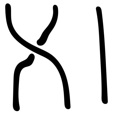 <strong>Figure 4. </strong>