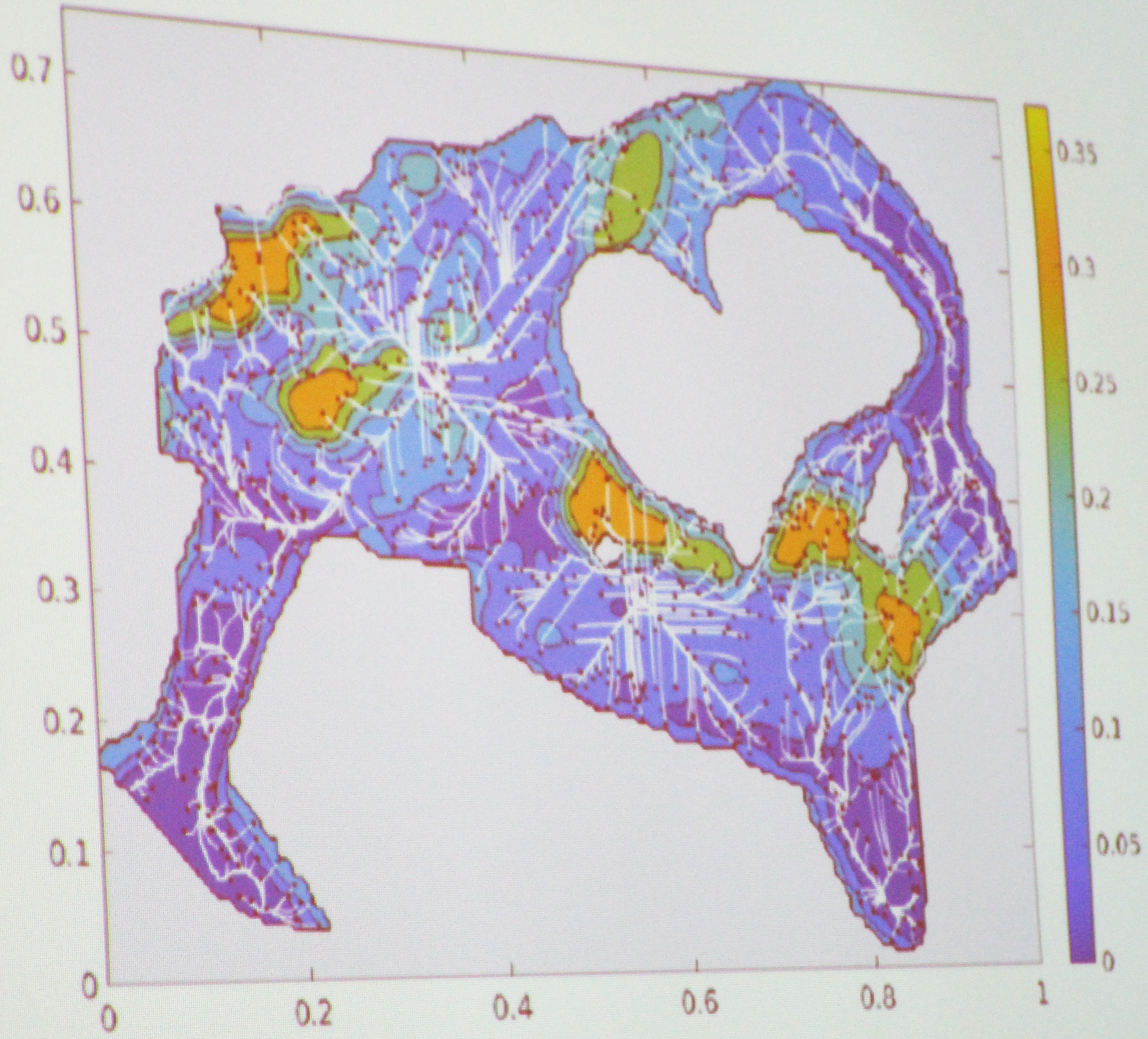 <strong>Figure 2.</strong> Spatial image of the Samango monkey environment. Various trajectories converge around the optimal corridors that represent the best paths through which to escape a predator. Figure courtesy of Marissa Gee.
