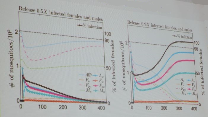 Threshold condition for Wolbachia transmission. Image credit: Zhuolin Qu, AN17 presentation.