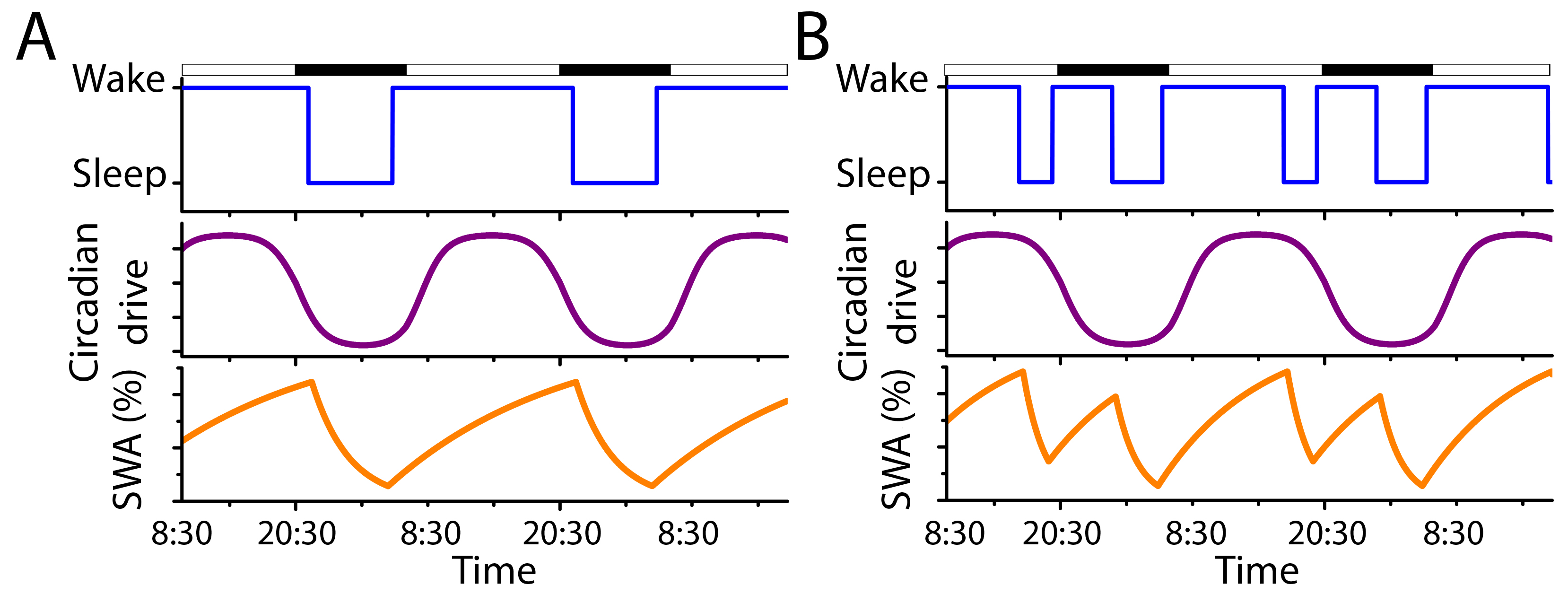 <strong>Figure 1.</strong> Hypnograms summarize simulated sleep/wake behavior. <strong>1a.</strong> Under baseline conditions (χ=1) of the circadian and homeostatic (% SWA) modulation, our model produces stereotypical adult human sleep/wake behavior with a single ∼8-hour nighttime sleep episode every 24 hours. <strong>1b.</strong> For scaling parameter χ=0.58, the homeostatic modulation increases and decrease more quickly, resulting in two sleep episodes every 24 hours: a nap and a nighttime sleep. Black and white bars indicate periods of dark and light, respectively.