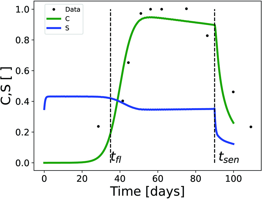 &lt;strong&gt;Figure 3.&lt;/strong&gt; Model fit to canopy data from [3]. Figure courtesy of the authors.