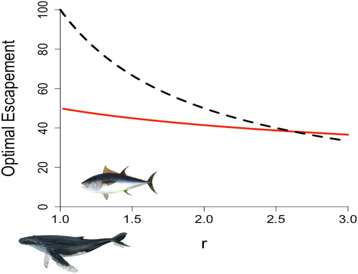 <strong>Figure 2.</strong> The optimal escapement—that is, the percentage of the carrying capacity for a specific species that should be left in the ocean in fisheries management—versus the growth rate. The black dashed line represents the outcome from the hockey stick model, and the red line represents a common fishery stock assessment model. The hockey stick model recommends leaving a much larger portion of fish in the ocean at slower growth rates. Figure courtesy of Matthew Holden.