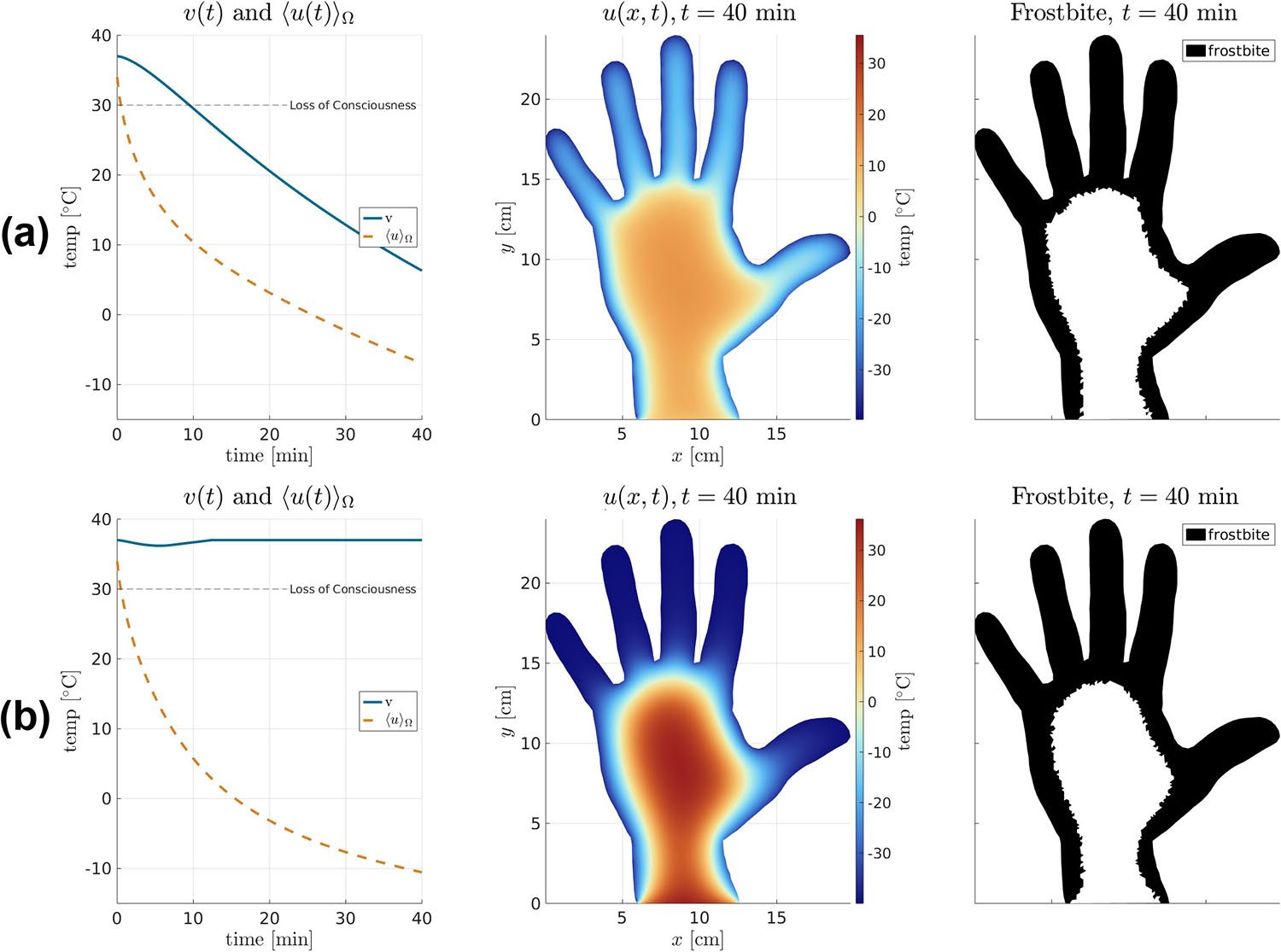<strong>Figure 6.</strong> Comparison of simulations of \((\text{L})\) with constant \(R\) and \(S\) and \((\text{N})\) with the nonlinear model in \((7)\) and \((8)\). <strong>6a.</strong> In \((\text{L})\), \(v\) traces \(\langle u \rangle_\Omega\) closely because there is no regulation of energy exchange between the core and extremity compartments. <strong>6b.</strong> In \((\text{N})\), \(\langle u \rangle_\Omega\) drops lower than in \((\text{L})\)—corresponding to more extensive frostbite—but \(v\) recovers after a brief dip due to the combined effect of metabolism \(g\) and the “cutoff” of energy exchange between \(\Omega\) and the body’s core. Figure courtesy of the authors.