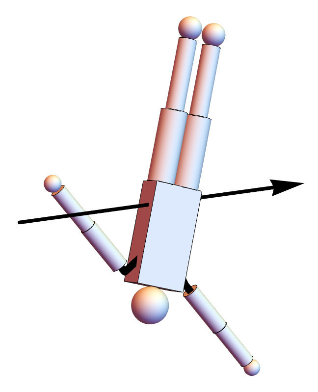 <strong>Figure 2.</strong> 513XD dive after the first 1/2 twist and 1/2 somersault is complete while arms are in windmill motion. The black vector is the constant angular momentum vector. Image credit: [5].