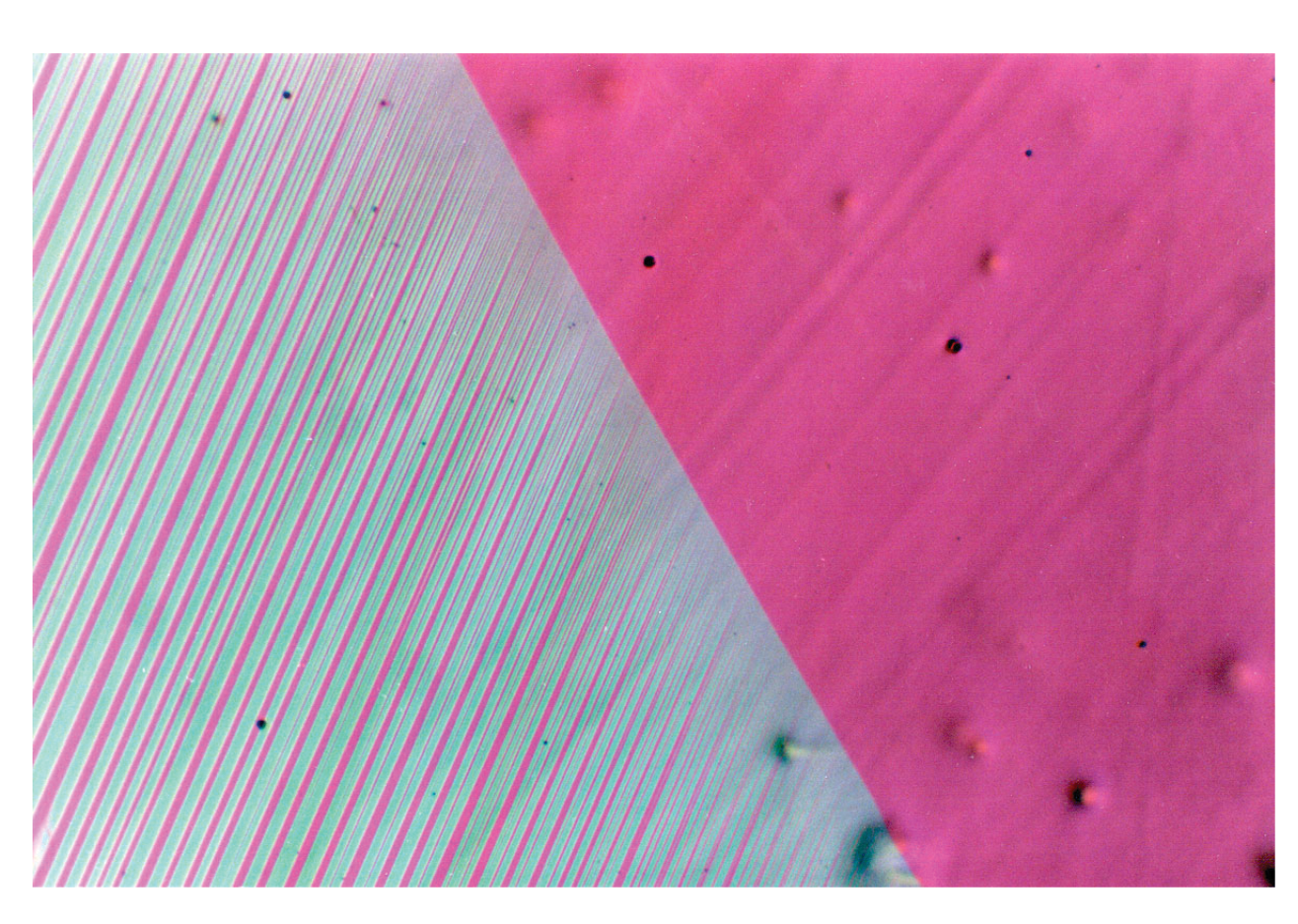 <strong>Figure 1.</strong> Austenite/martensite interface. The bands on the left are made up of two variants of martensite; the magenta region at the right is austenite. The total width of the original photograph is about 0.5 mm. Courtesy of C. Chu.